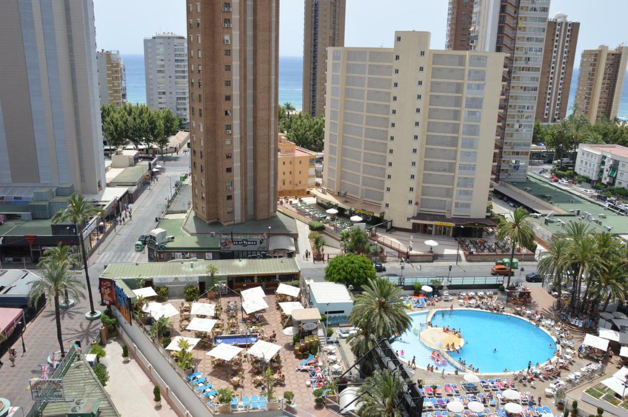 Provima Anis * Benidorm